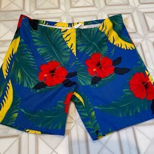 Vintage 1980s Blue Jams Shorts